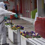 Pinhel - desinfeção das ruas (2)