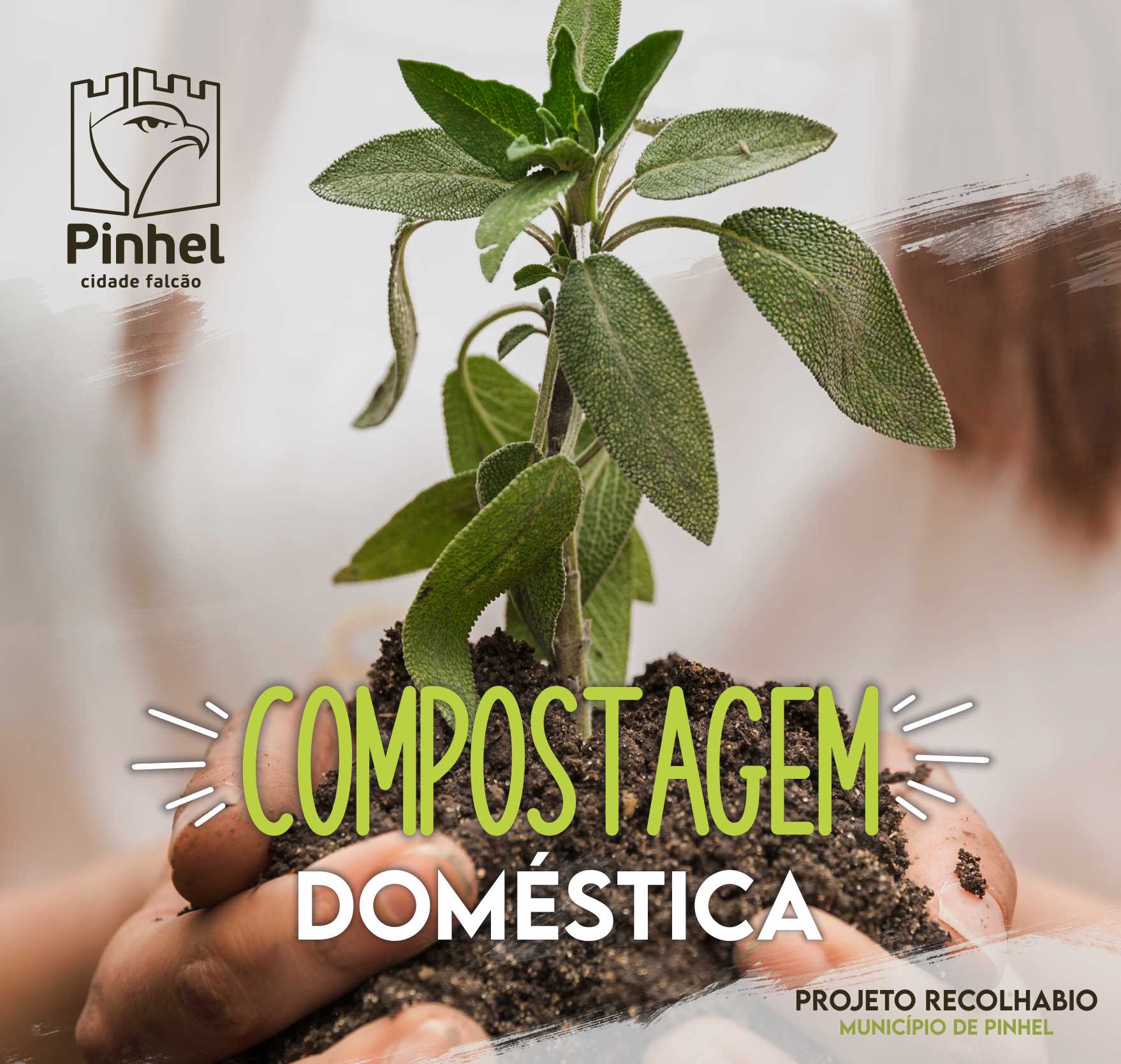 Compostagem Doméstica