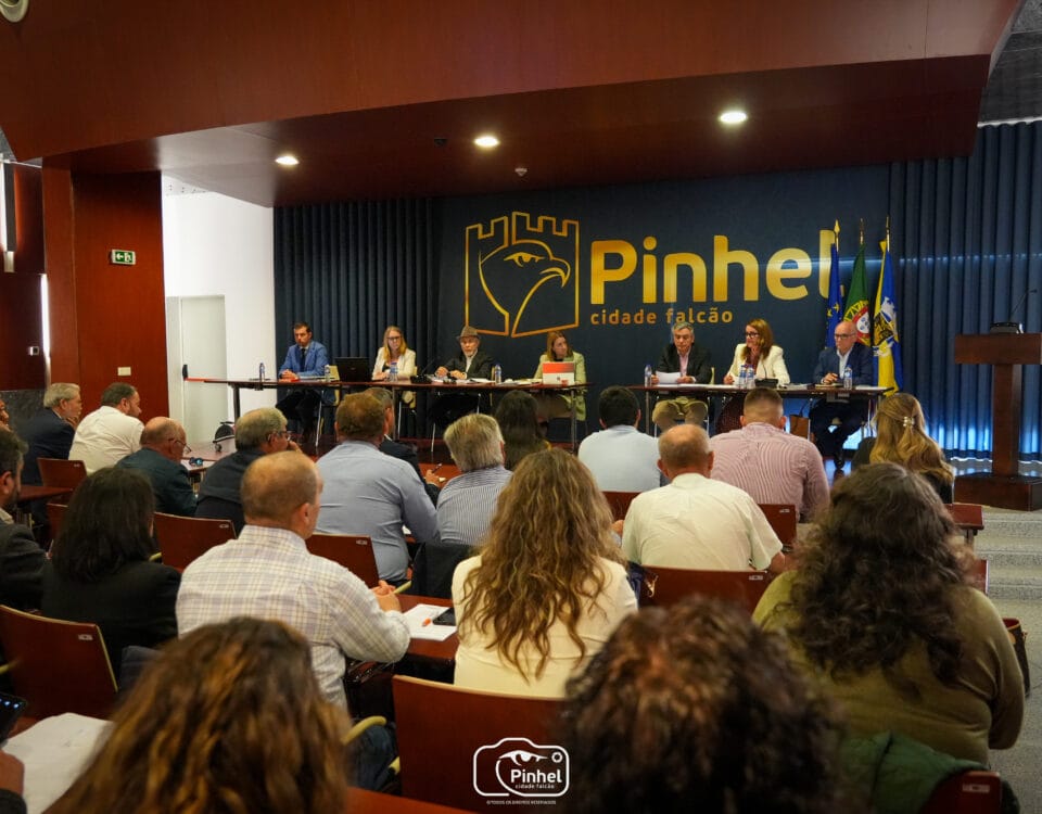 Assembleia Municipal - 24-04-2025