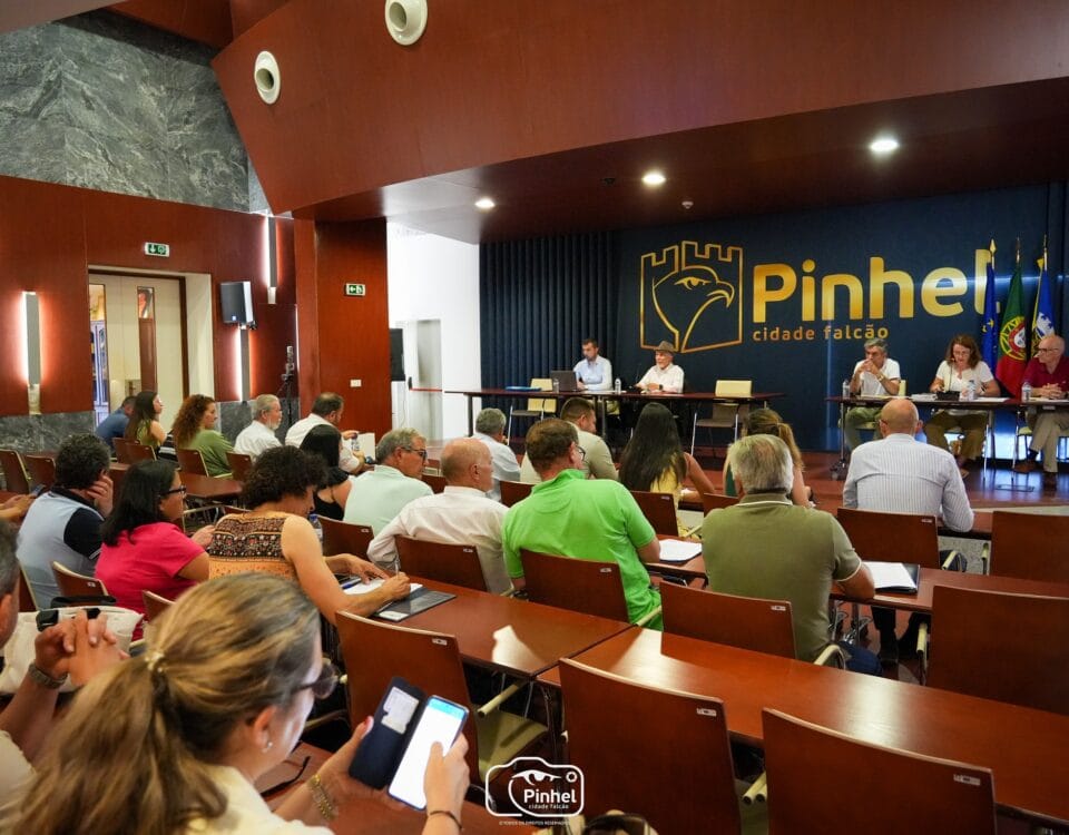 Assembleia Municipal - 30-06-2025