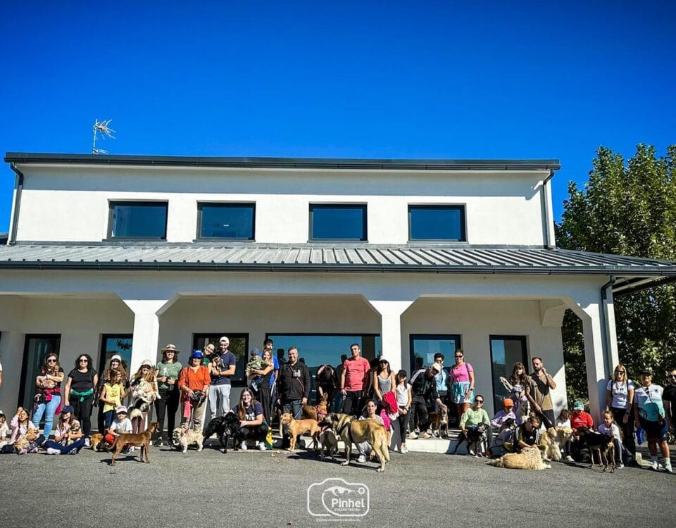 Open Day e Cãominhada