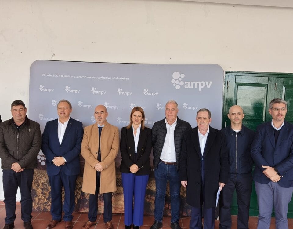 Presidente CMP eleita Vice-Presidente AMPV