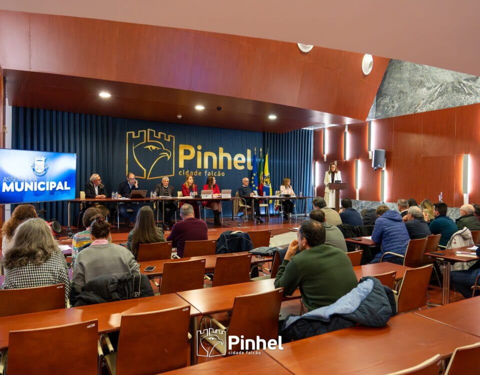 Assembleia Municipal - 20-02-2026