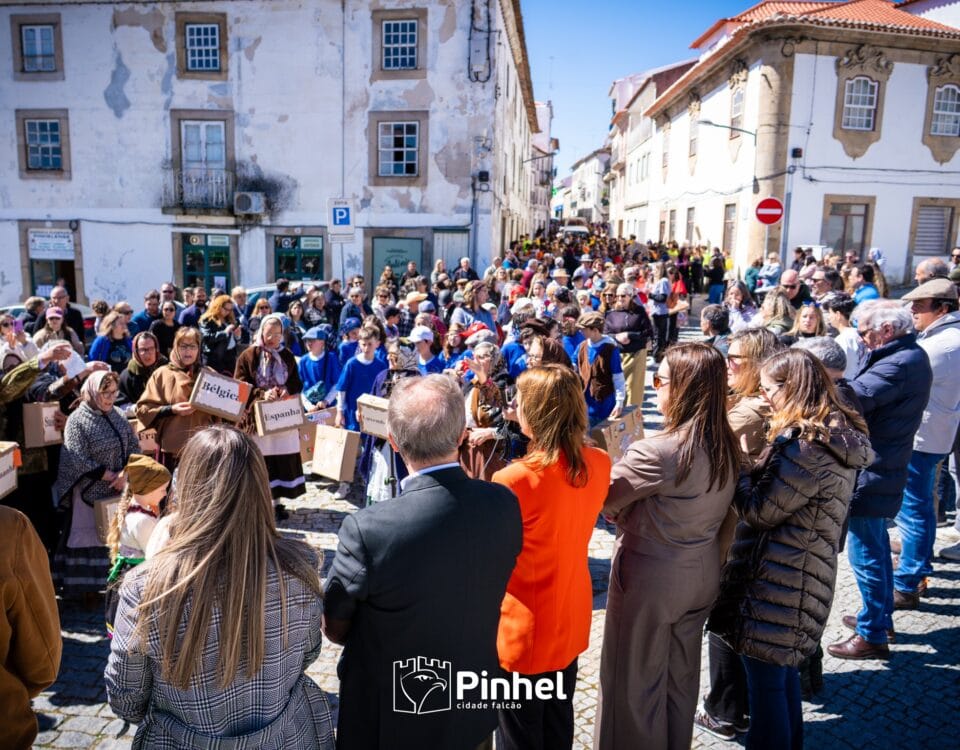 Desfile Alegórico 2026