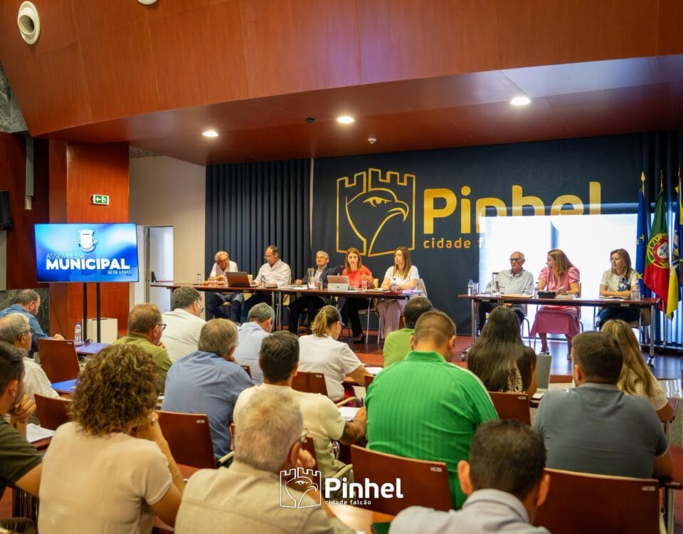 Assembleia Municipal - 22-06-2026