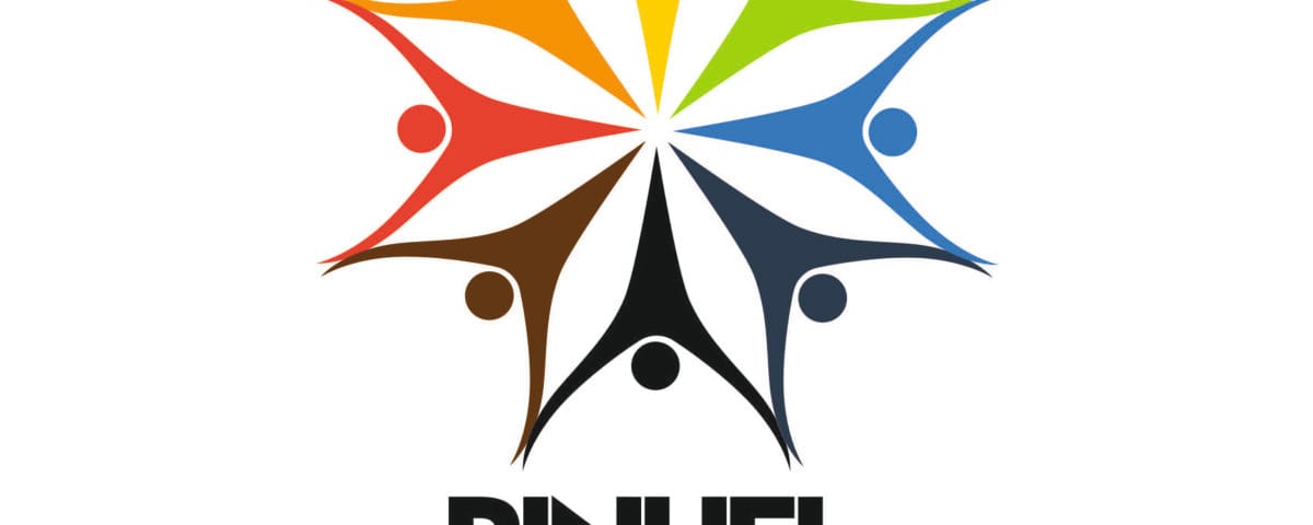 Logo Programa de Voluntariado Juvenil - Pinhel nas tuas Mãos